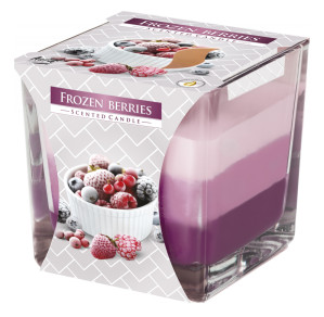 BISPOL Svíčka Ve Skle Frozen Berries 170g